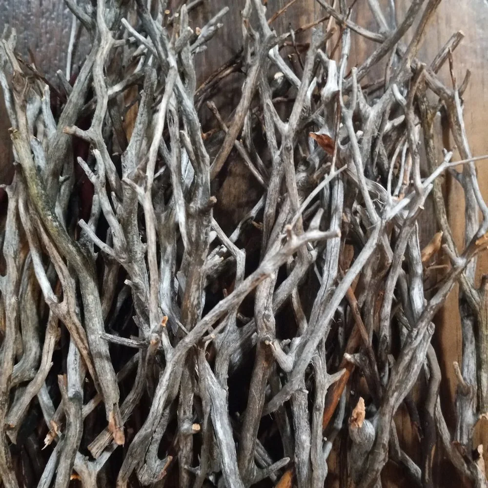 30 thin gray brown manzanita sticks branch aquarium terrarium vivarium crafts